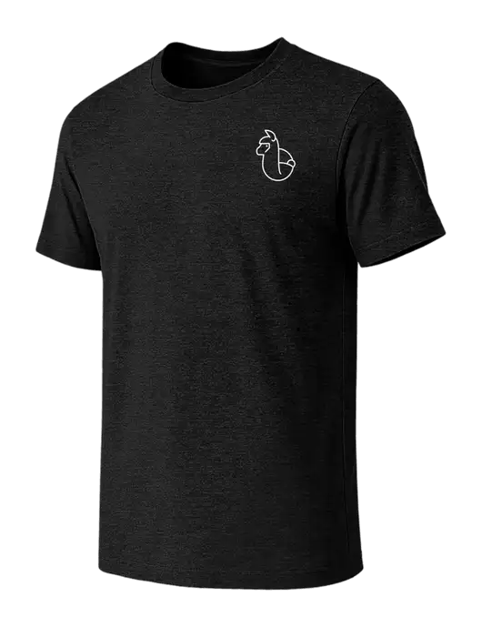 BELLA+CANVAS Black Heather CVC Short Sleeve Tee w/Alpac Logo