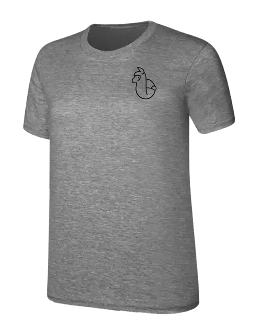 Womens Ring Spun Light Grey Heather 4.5 oz T-Shirt w/Alpac Logo