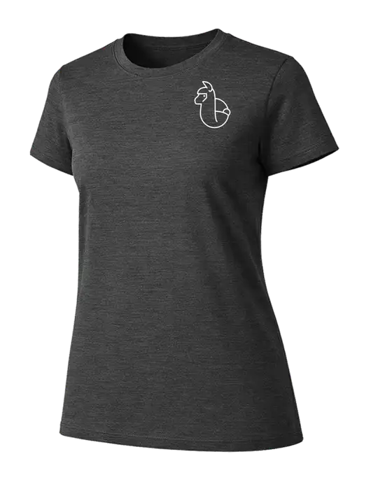 Womens Ring Spun Dark Heather Grey 4.5 oz T-Shirt w/Alpac Logo