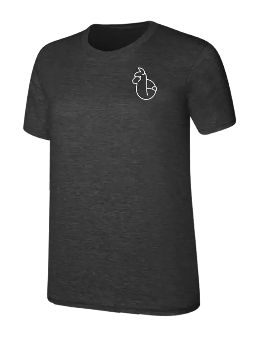 Womens Ring Spun Dark Heather Grey 4.5 oz T-Shirt w/Alpac Logo
