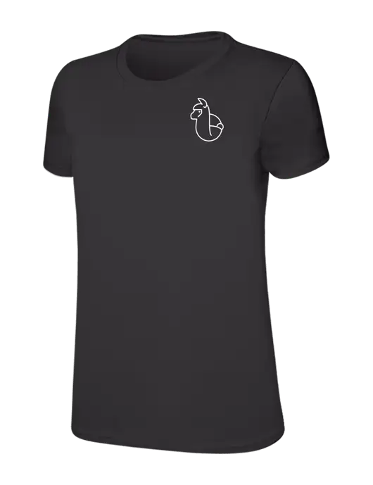 Womens Ring Spun Charcoal 4.5 oz T-Shirt w/Alpac Logo