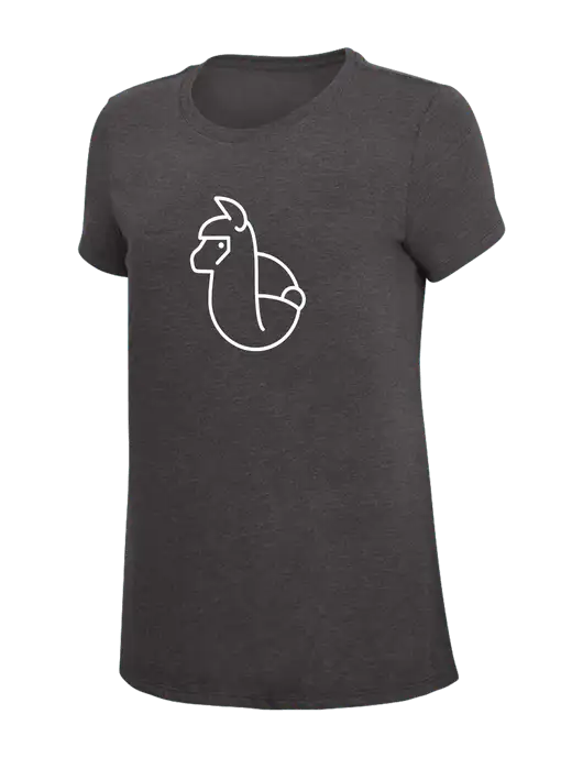 Womens Simply Soft Heather Charcoal 4.5oz  Poly/Combed Ring Spun Cotton T-Shirt w/Alpac Logo