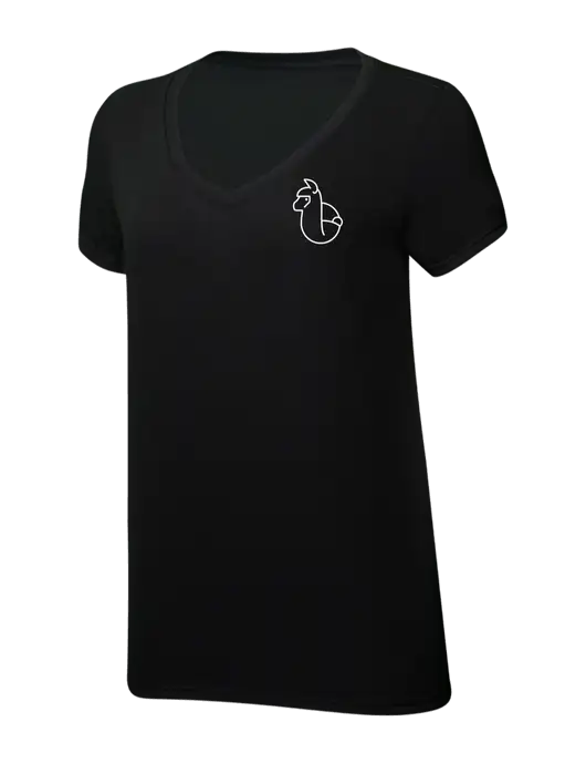 Womens Simply Soft V-Neck Black 4.5oz  Poly/Combed Ring Spun Cotton T-Shirt w/Alpac Logo