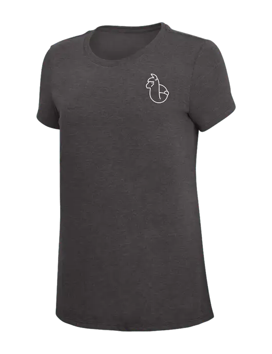Womens Simply Soft Heather Charcoal 4.5oz  Poly/Combed Ring Spun Cotton T-Shirt w/Alpac Logo