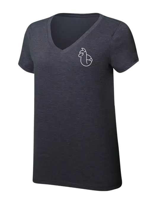 Womens Simply Soft V-Neck Heather Charcoal 4.5oz  Poly/Combed Ring Spun Cotton T-Shirt w/Alpac Logo