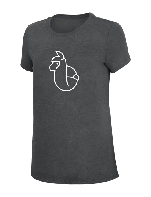 Womens Simply Soft Charcoal 4.5oz Poly/Combed Ring Spun Cotton T-Shirt w/Alpac Logo