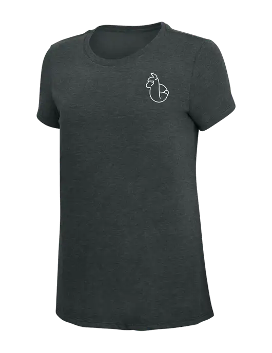 Womens Simply Soft Black Frost 4.5oz Poly/Combed Ring Spun Cotton T-Shirt w/Alpac Logo