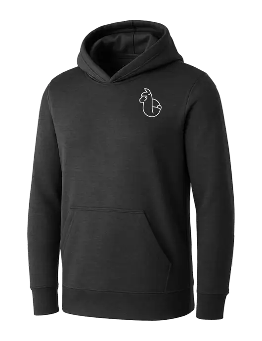 Womens Dark Grey Heather Core Fleece Pullover Hooded Sweatshirt w/Alpac Logo